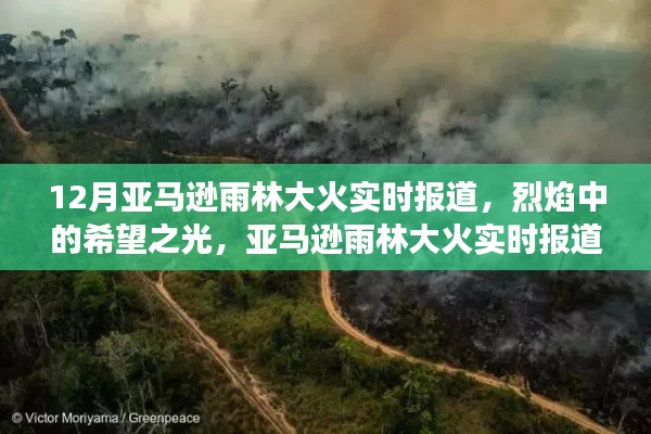 亞馬遜雨林大火實(shí)時(shí)報(bào)道，烈焰中的希望與挑戰(zhàn)，啟示背后的故事與反思