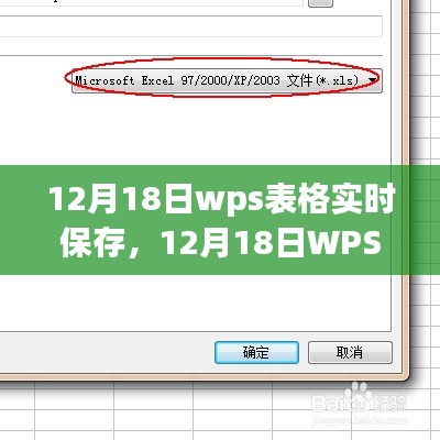 12月18日WPS表格實時保存設置，提升工作效率的關鍵