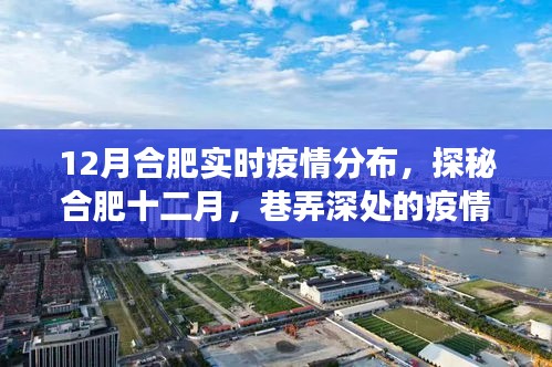 合肥十二月疫情探秘，巷弄深處的實時分布與獨特小店的故事