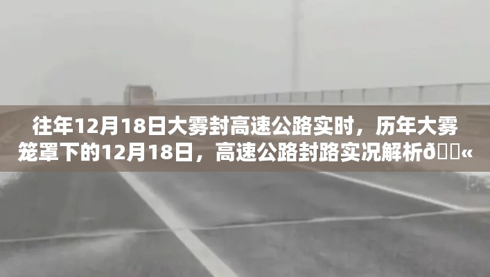 歷年大霧籠罩下的高速公路封路實(shí)況解析，揭秘大霧封路背后的真相與應(yīng)對(duì)之道！