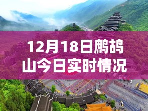 鷓鴣山今日實(shí)時(shí)情況，特色小店帶你領(lǐng)略別樣冬日風(fēng)情，驚喜藏于深山之中