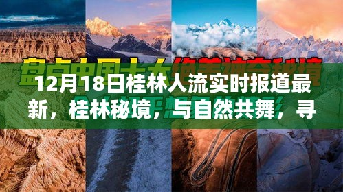 桂林秘境，探尋心靈寧靜之地，最新人流動態(tài)報道