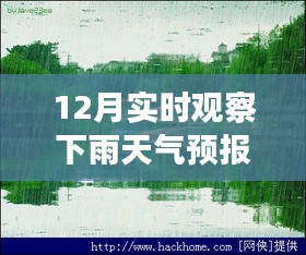 十二月的魔法時刻，雨中探索自然美景，與內(nèi)心的寧靜共舞的天氣之旅