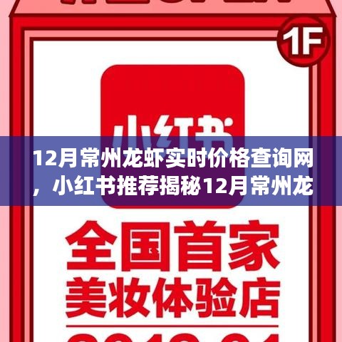 揭秘十二月常州龍蝦最新實(shí)時(shí)價(jià)格查詢(xún)攻略，小紅書(shū)推薦，輕松掌握市場(chǎng)走勢(shì)