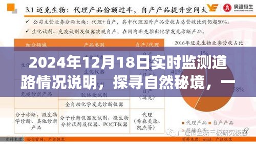 探尋自然秘境的心靈之旅，2024年12月18日實時監(jiān)測道路情況深度解析