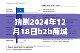 深度評(píng)測(cè)，預(yù)測(cè)與解析2024年12月18日B2B商城實(shí)時(shí)票據(jù)特性、體驗(yàn)、競(jìng)品對(duì)比及用戶群體分析