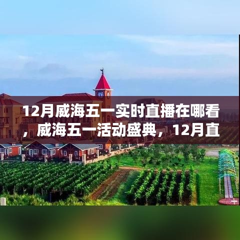 威海五一盛典直播回顧與活動(dòng)影響力深度探討，直播盛宴與影響探索