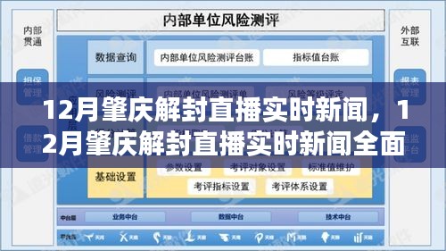 12月肇慶解封直播實時新聞，全面解讀與評測