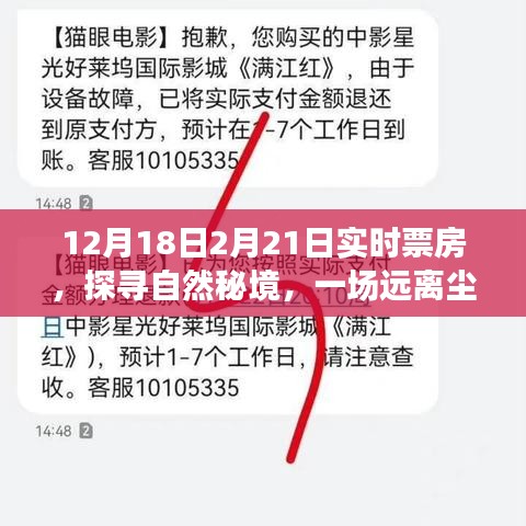 探尋自然秘境的心靈之旅，揭秘實時票房熱議背后的故事
