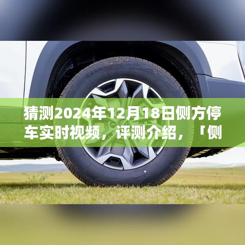 側(cè)方停車技術(shù)展望，2024年的停車體驗革新實時視頻評測介紹