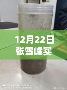 張雪峰老師12月22日實時動態(tài)報名指南，適合初學(xué)者與進階用戶的報名步驟全解析