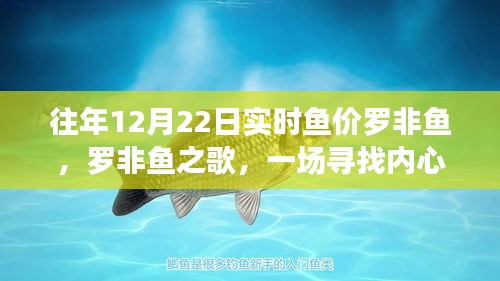 羅非魚之歌，探尋深海魚價與內(nèi)心平靜的旅程