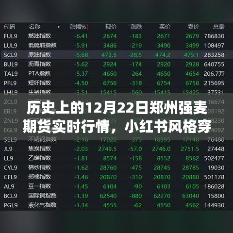 揭秘鄭州強麥期貨行情巔峰時刻，歷史上的特殊日子實時行情回顧——小紅書風格穿越時光