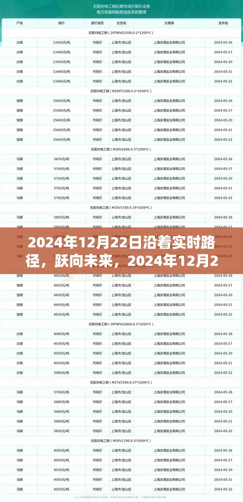 躍向未來，實時路徑下的共舞之旅——2024年12月22日展望