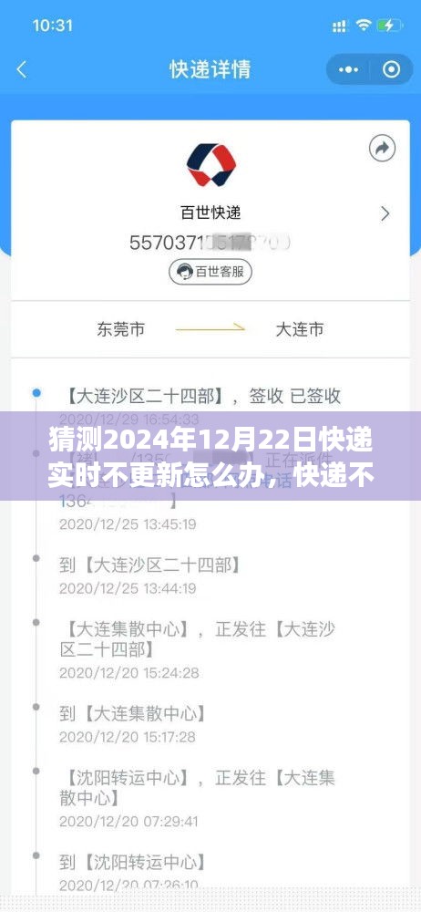 快遞實(shí)時(shí)更新故障應(yīng)對(duì)指南，快遞不更新？日常冒險(xiǎn)之旅中的溫馨解決方案