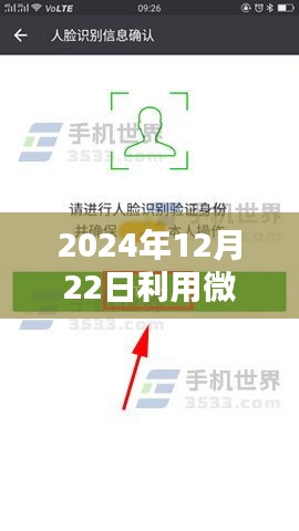 微信實(shí)時輸入數(shù)據(jù)庫操作指南，從初學(xué)者到進(jìn)階用戶的全面指南（2024年12月22日更新）