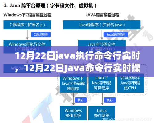 Java命令行實時操作指南，12月22日執(zhí)行指南