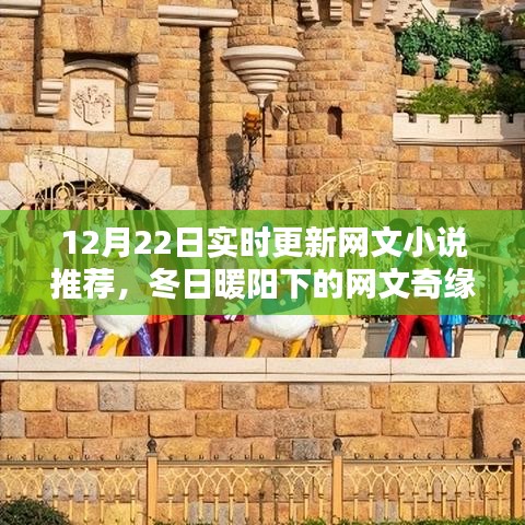 冬日暖陽下的溫馨網(wǎng)文奇緣，實(shí)時(shí)更新小說推薦