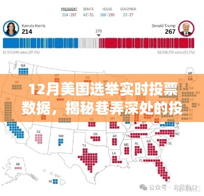 揭秘美國選舉風云，巷弄深處的投票數(shù)據(jù)寶藏親歷之旅
