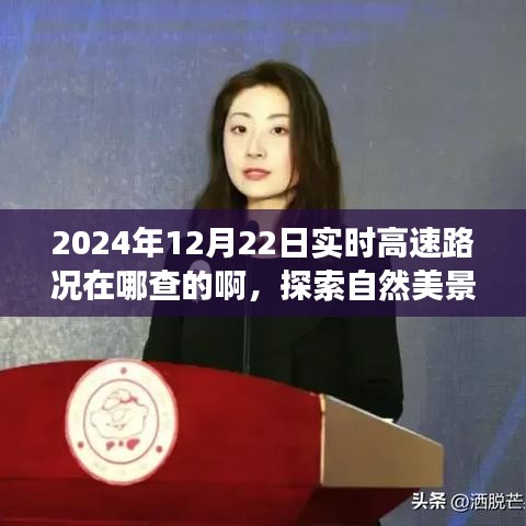 探索自然美景之旅，實(shí)時(shí)高速路況查詢指南與尋找內(nèi)心平靜的旅程
