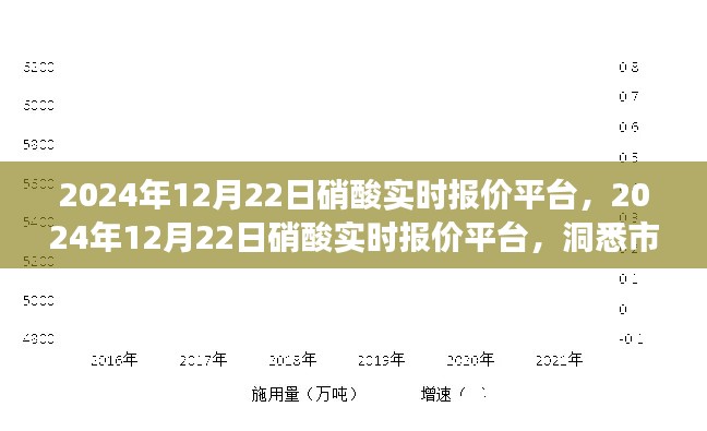 洞悉市場動態(tài)，掌握行業(yè)趨勢，2024年12月22日硝酸實時報價平臺
