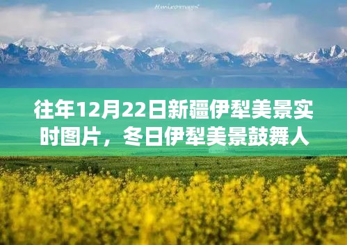 冬日伊犁美景鼓舞人心，學(xué)習(xí)之旅中的自信與成就感實(shí)時(shí)圖片展示