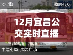 掌握出行信息必備，宜昌公交實(shí)時(shí)直播電話在線直播服務(wù)啟動(dòng)