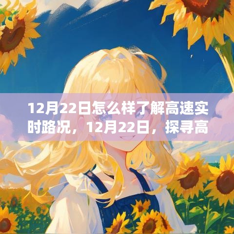 12月22日，探尋高速實時路況的洞察之旅，掌握實時路況信息！