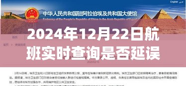 冬日暖陽(yáng)下的飛行奇遇，航班延誤時(shí)光與好友共度