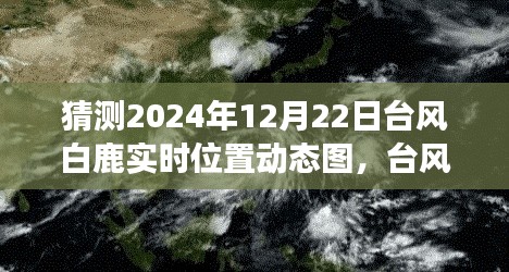 臺(tái)風(fēng)白鹿來(lái)襲，冒險(xiǎn)之旅中的自信閃耀與實(shí)時(shí)動(dòng)態(tài)圖預(yù)測(cè)學(xué)習(xí)筆記