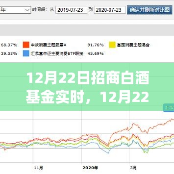 12月22日招商白酒基金實(shí)時(shí)走勢(shì)分析與投資洞察，洞悉白酒行業(yè)最新動(dòng)態(tài)及投資機(jī)會(huì)