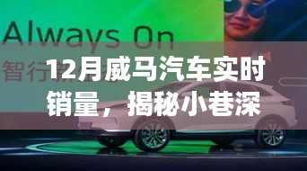 揭秘威馬汽車銷量背后的秘密故事，小巷深處的風(fēng)景與隱藏式特色小店，實時銷量分析十二月篇
