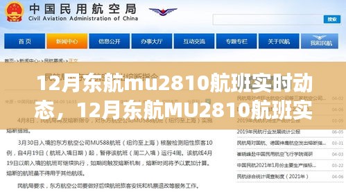 實(shí)時(shí)動(dòng)態(tài)