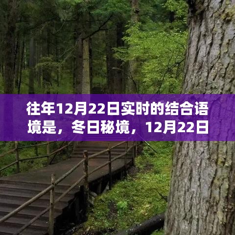 冬日秘境，與自然共舞的日子，12月22日的魔法時刻