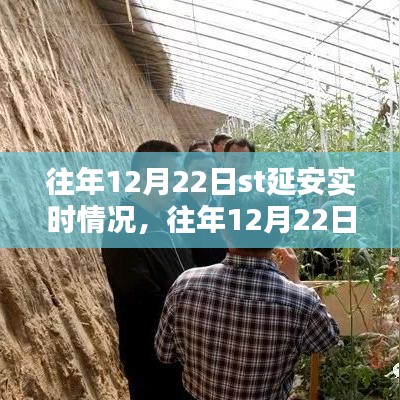 往年12月22日ST延安實時情況詳解，掌握攻略，輕松完成任務(wù)！