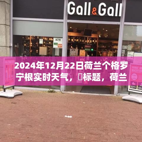 荷蘭格羅寧根實時天氣探索，追尋自然美景與心靈寧靜的奇妙之旅（2024年12月22日）