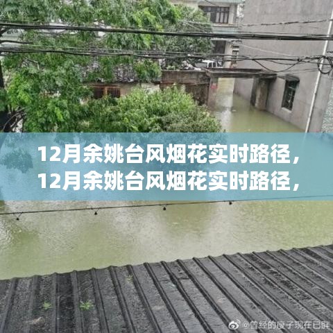 深度解析與前沿觀察，12月余姚臺(tái)風(fēng)煙花實(shí)時(shí)路徑追蹤