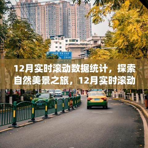 探索自然美景之旅，揭秘12月實時滾動數(shù)據(jù)統(tǒng)計背后的寧靜呼喚