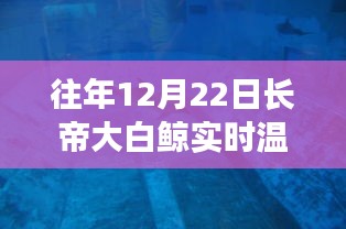 長帝大白鯨智能溫度計，實時溫度觸手可及，科技帶來生活溫暖