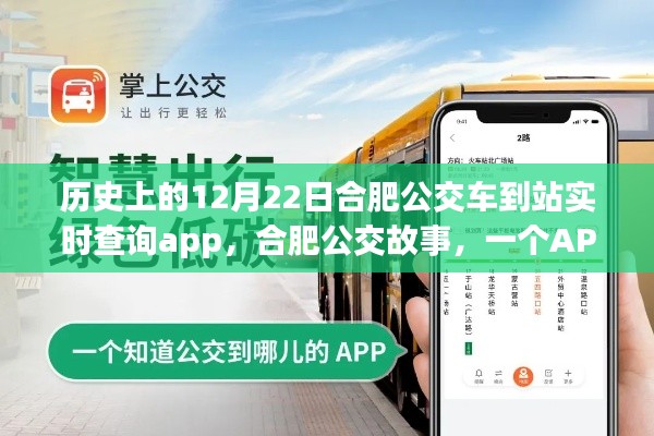 合肥公交APP的暖心之旅，實時查詢與公交故事的奇妙融合