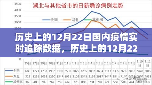 歷史上的12月22日國內(nèi)疫情實時追蹤數(shù)據(jù)詳解，步驟指南與實時追蹤報告