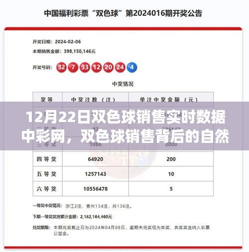 探索雙色球銷售背后的自然之旅，內(nèi)心平靜的奇妙旅程揭秘（實(shí)時數(shù)據(jù)解析）