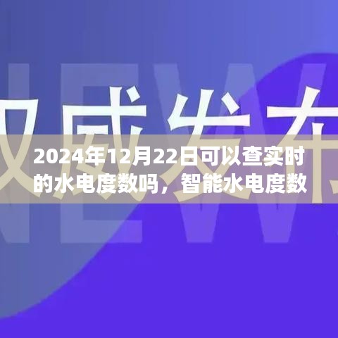 智能水電度數(shù)實時監(jiān)測體驗報告，2024年12月22日實時水電度數(shù)查詢體驗