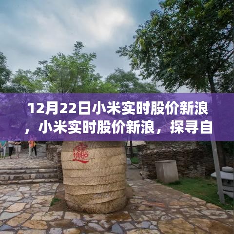 小米實(shí)時(shí)股價(jià)新浪與探尋自然美景之旅，心靈寧?kù)o的力量