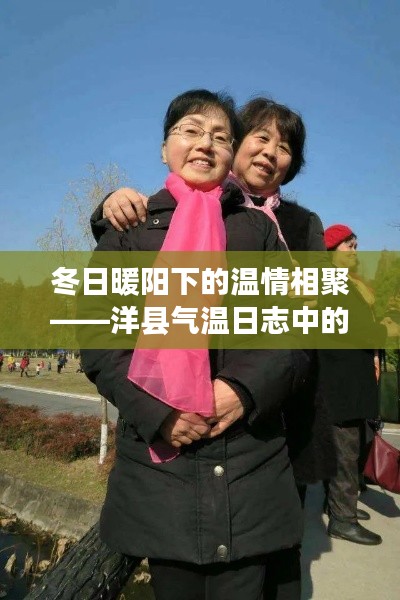 冬日暖陽(yáng)下的溫情相聚——洋縣氣溫日志中的歡樂(lè)聚會(huì)時(shí)光