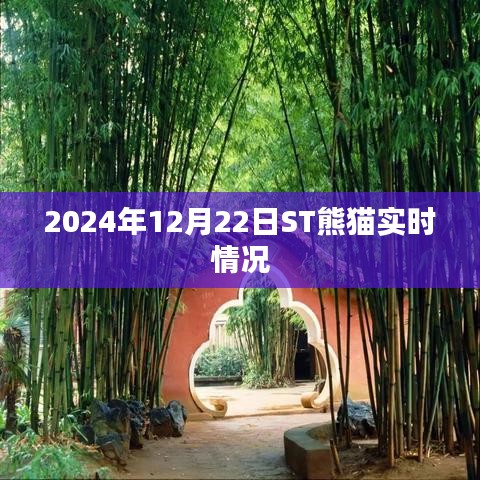 ST熊貓實(shí)時(shí)動(dòng)態(tài)，最新消息與走勢(shì)分析