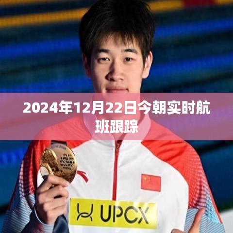 實(shí)時(shí)航班跟蹤信息（2024年12月22日）