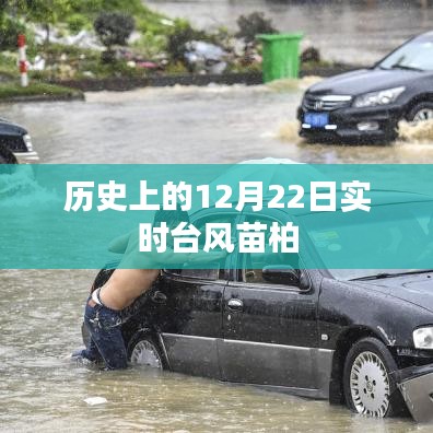實時臺風苗柏歷史記錄，12月22日情況概述