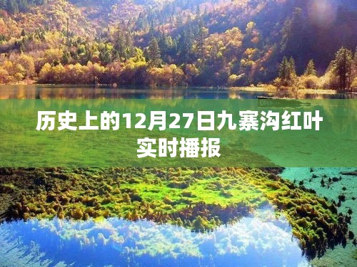 九寨溝紅葉實時播報，歷史12月27日回顧