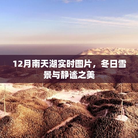 南天湖冬季實時圖片，雪景下的靜謐之美
